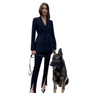 Aritzia Babaton Black Samuel Blazer